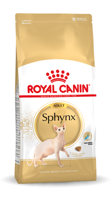 Sphynx Royal Canin