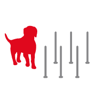 Hond bij paaltjes