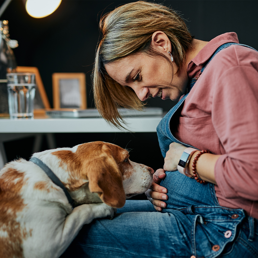 Hoe laat je je hond aan je nieuwe baby wennen?